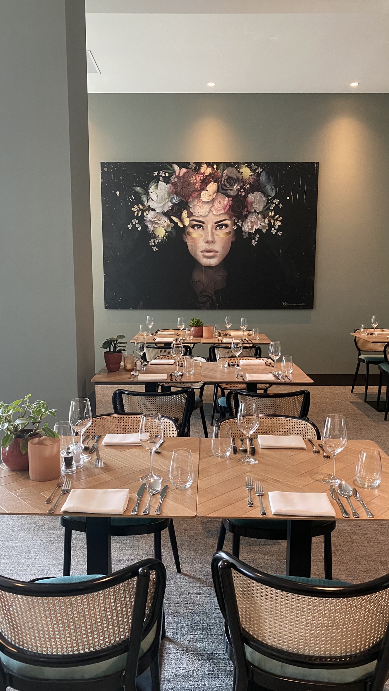 Papillon in Restaurant Zest